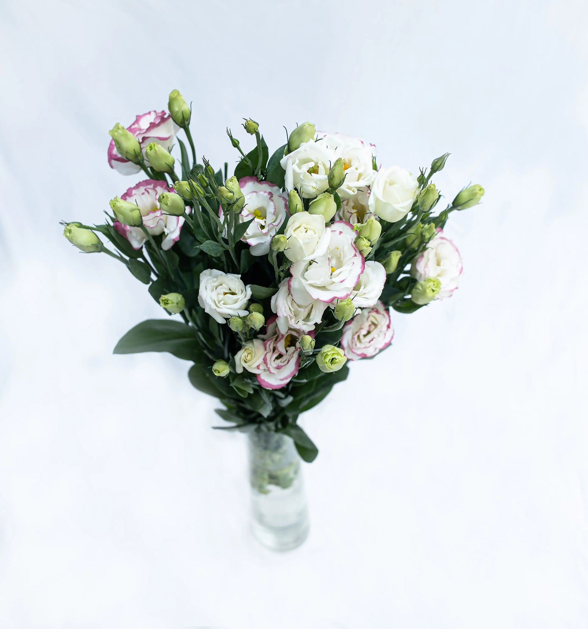 Eustoma Monica's Flowerdeli