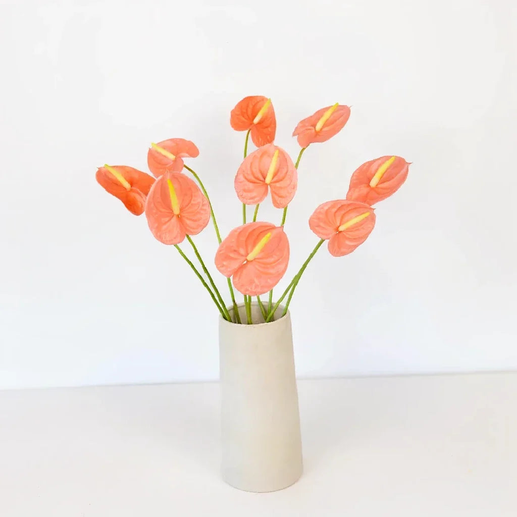 Anthurium - Monica's Flowerdeli