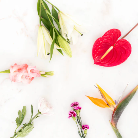 Mix and Match Flowers