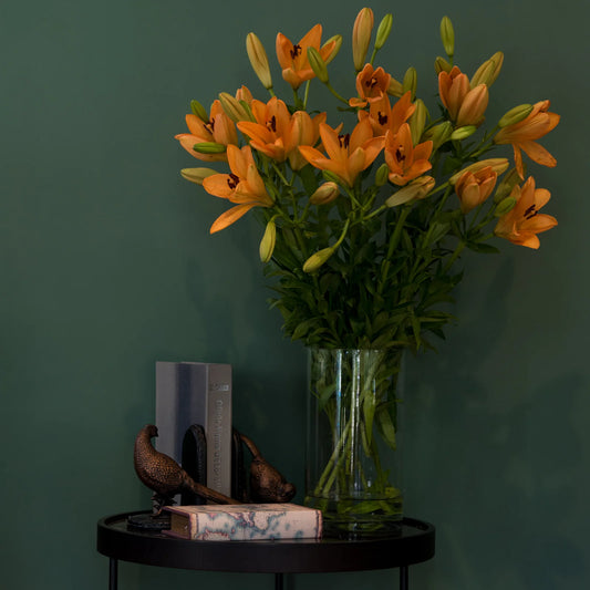 Asiatic Lilies