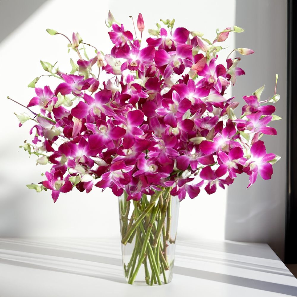 Orchids - Monica's Flowerdeli