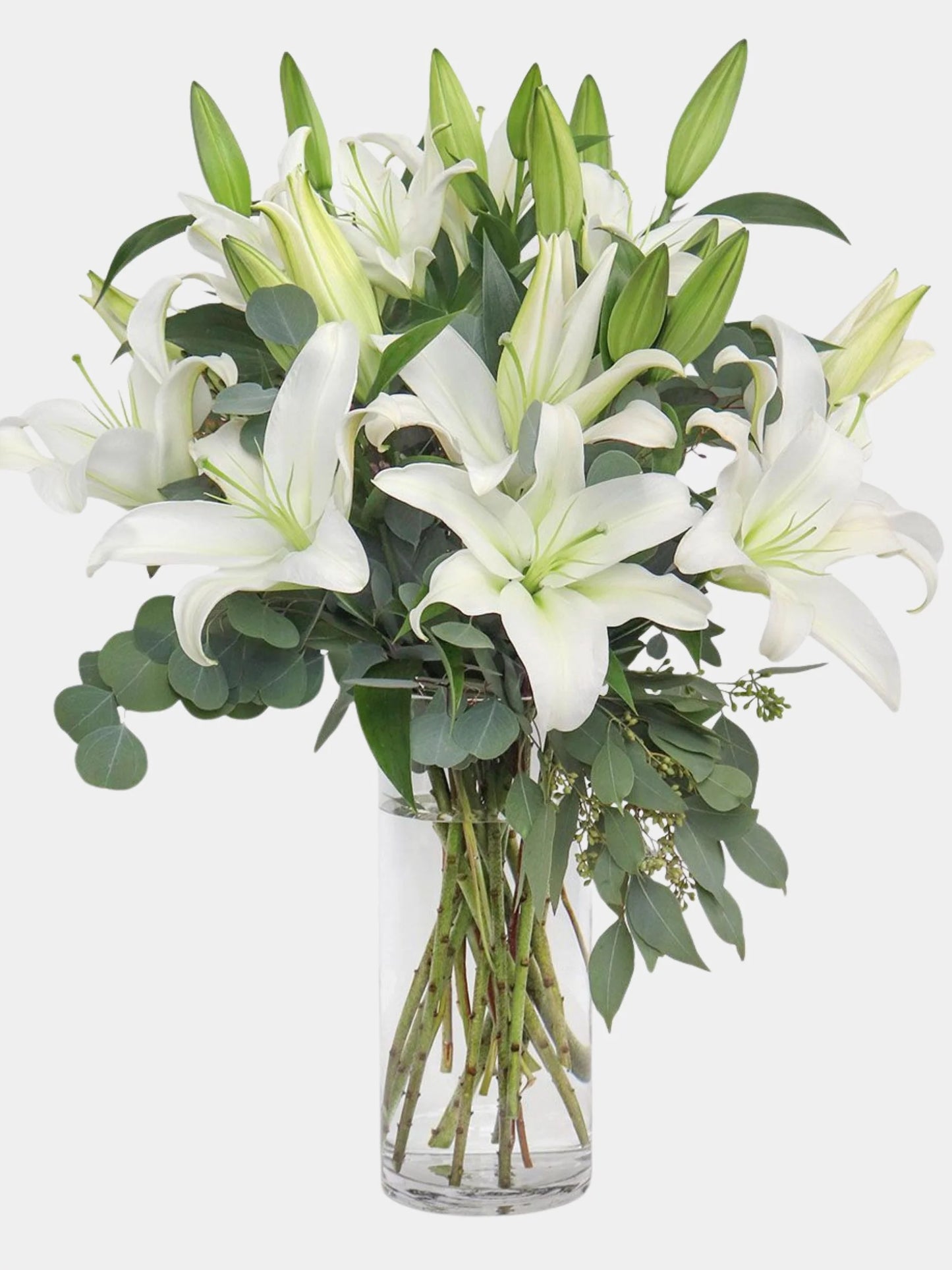 Asiatic Lily – Single Stem - Monica's Flowerdeli