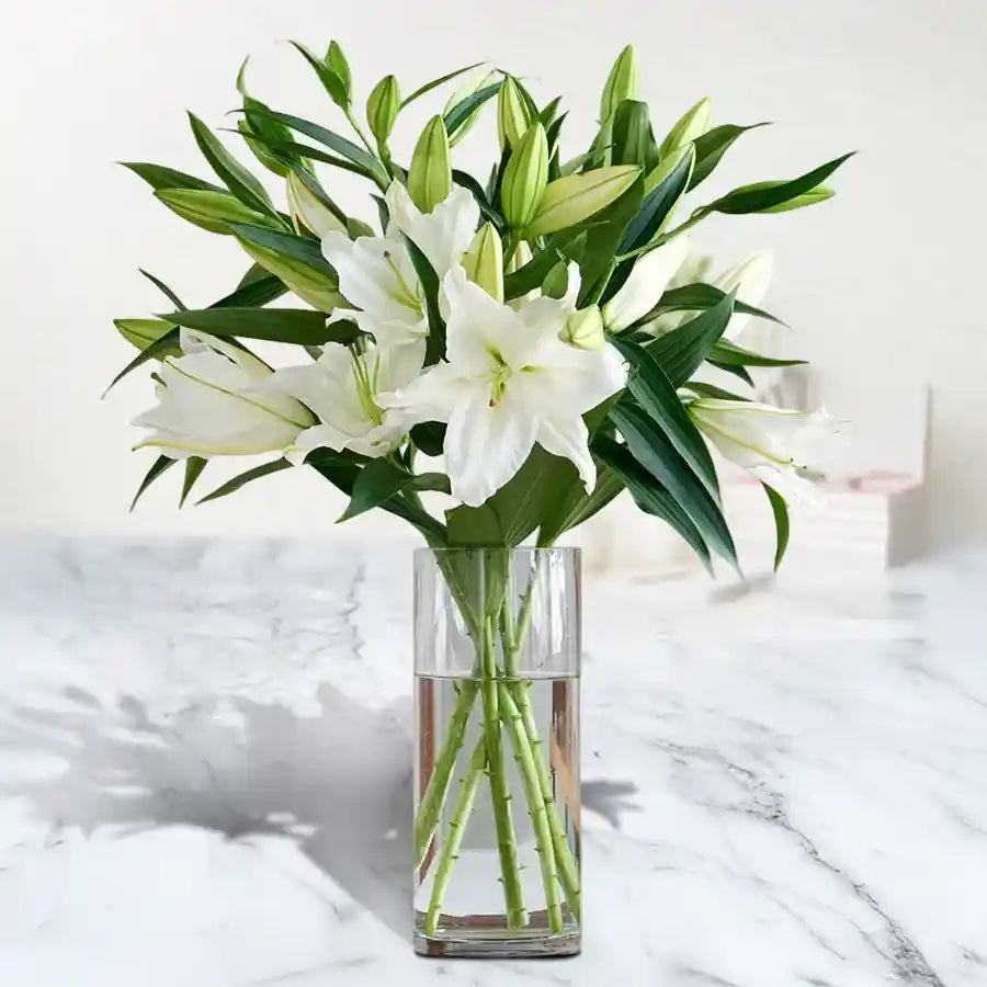 Oriental Lilies - Single stem