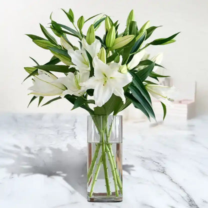 Oriental Lilies - Single stem