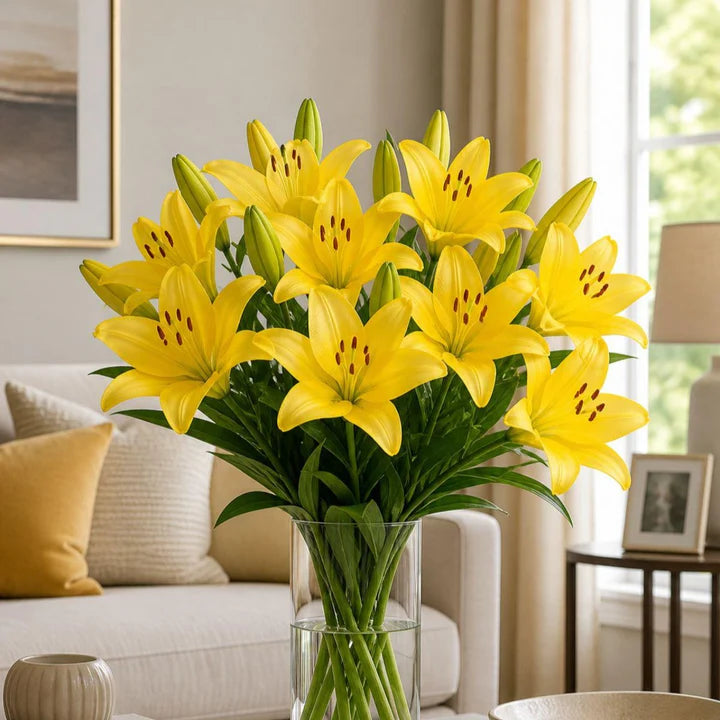 Asiatic Lily – Single Stem - Monica's Flowerdeli